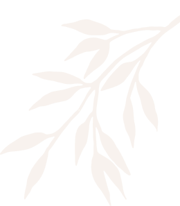 Jang Mi Spa  & Massage Đà Nẵng