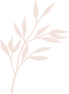 Jang Mi Spa  & Massage Đà Nẵng